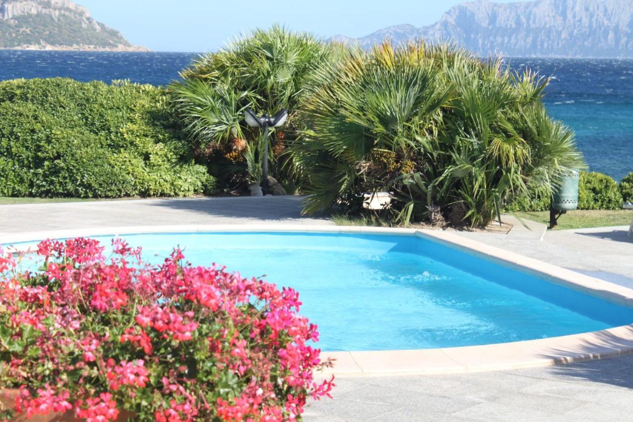 Apartment In S'Abba E Sa Pedra With Pool Голфо Аранчи Екстериор снимка